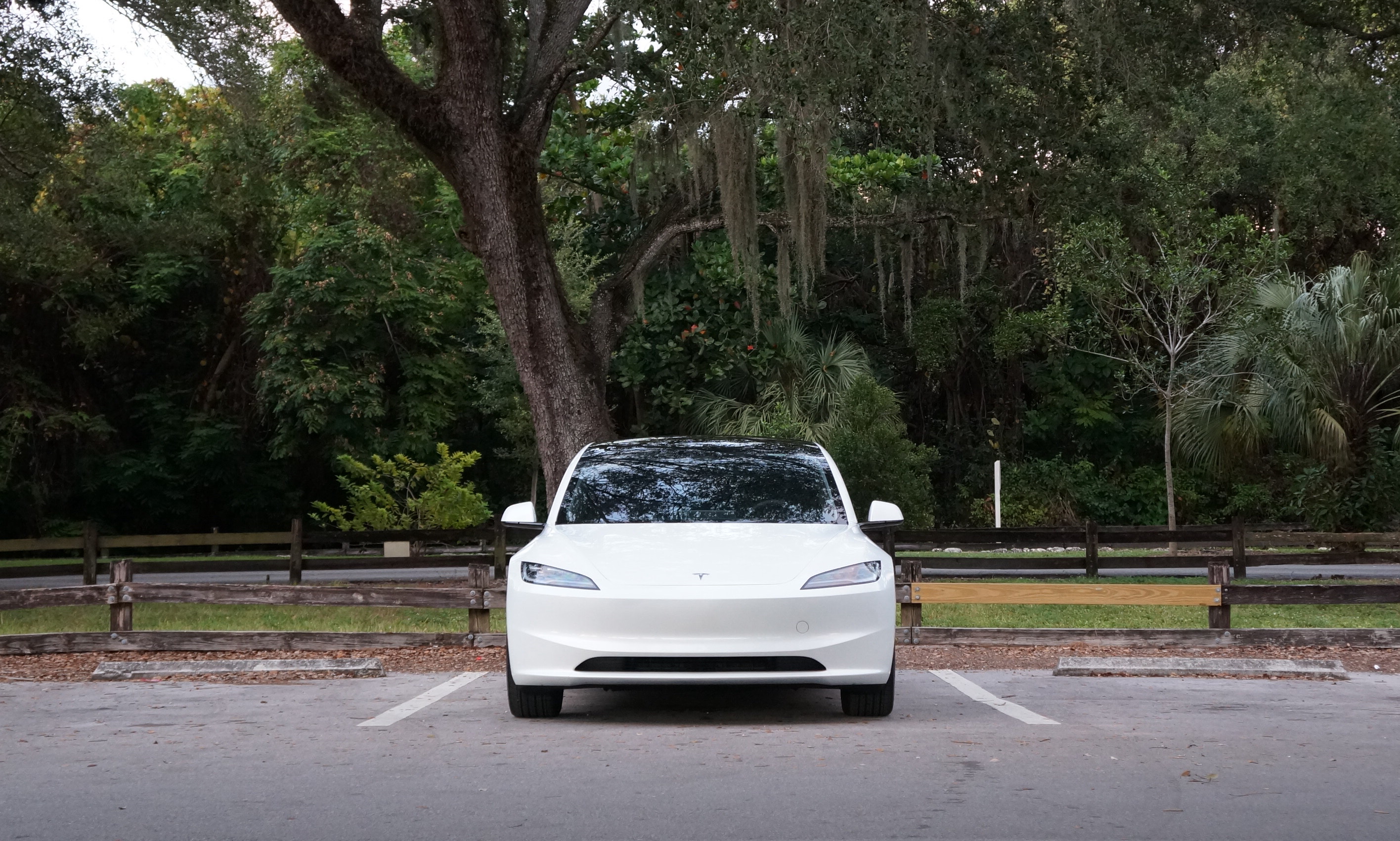 Front view of a white Tesla Model 3 Highland, with trees in a park serving as a backdrop.